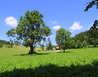 IMG_5294 - Malá Morávka