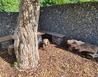 20220519_164828 - U vodní nádrže Křižanovice