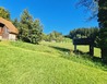 20230920_145508 - V Lipovém