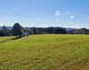 20230920_152607 - V Lipovém