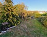 20231010_171903 - Kout na Šumavě