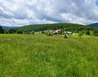 20250625_122741 - Eliščino údolí