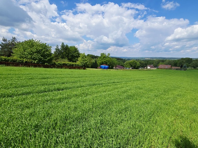 20250521_112226 - Kouty