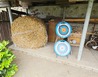 20260609_120944 - Rataje nad Sázavou