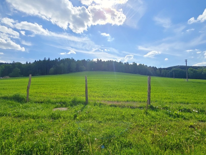 20260522_164411 - Netolice