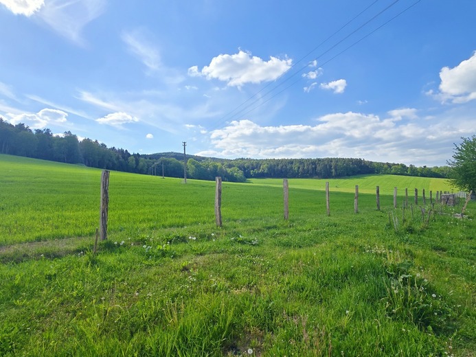 20260522_164416 - kopie - Netolice