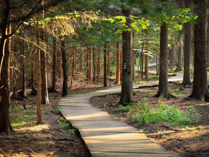 DSC_0277 - Zlaté Hory