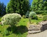 20260527_115831 - Sněžné