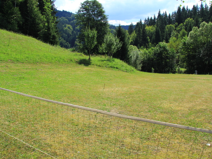 IMG_7718 - Pod Křižným