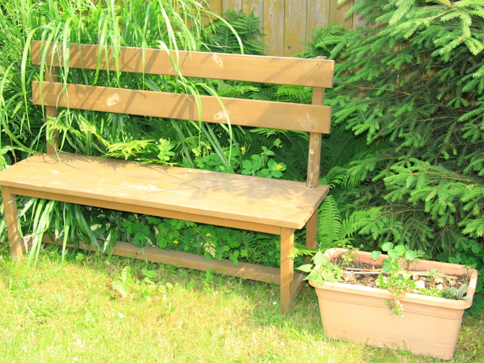 IMG_4266 - Staňkov u Třeboně