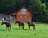 DSC_2809Z - Volyně