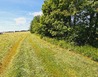 20220617_142233 - Vítkovice v Krkonoších