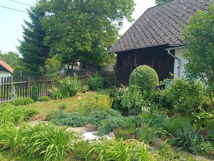 20250609_115130 - Kvaslice