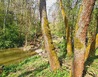 20210511_100623 - Dešov