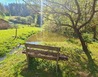 20210511_100718 - Dešov