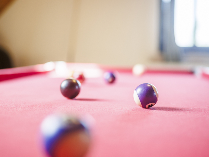 lowres_183 - Králíky