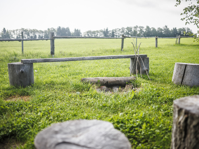 lowres_120 - Králíky