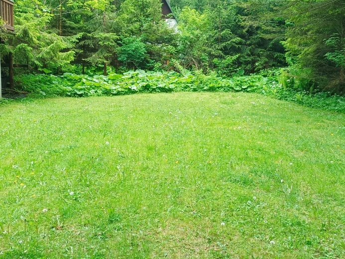 IMG_20250602_143827 - Termály Liptovský Ján