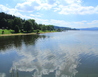 IMG_8389 - Lipno-Plánička