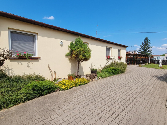 T224b - U vodní nádrže Nové Mlýny