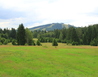 IMG_8467 - Abertamy