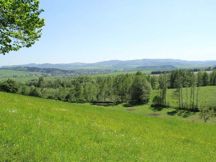 pohled-na-okoli-apartmanu-v-pozadi-lazne-kudowa-zdroj-a-czermna-c85c- - U Hronova