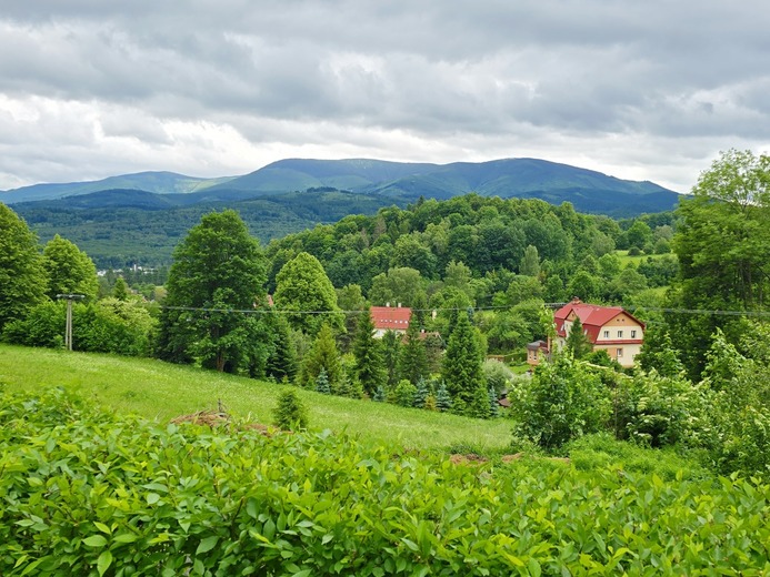 20250611_111653 - Zlaté Hory