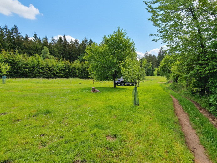 V282c - Nové Město na Moravě