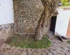 20201008_115452 - Otinoves