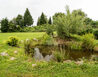 DSC_2787-1140x761 - Nové Hutě