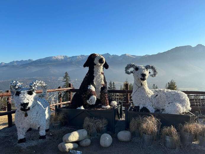 79281e3c-9a04-4afd-9b92-22c652e8efee - Zakopane