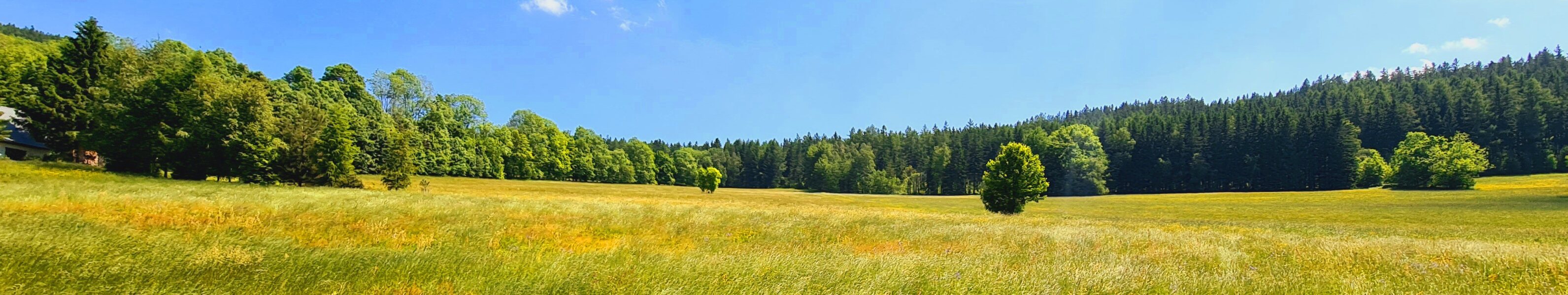 Úvodní fotografie