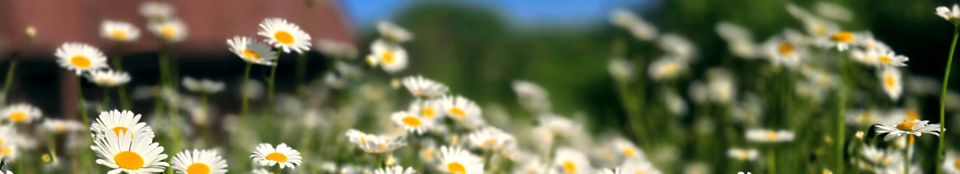 Úvodní fotografie